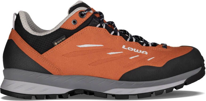 Lowa Delago GTX Lo Wandelschoenen zwart