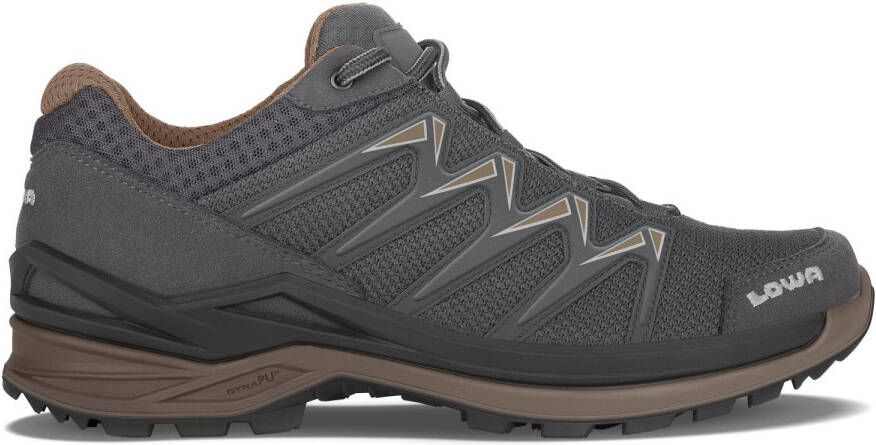 Lowa Innox Pro GTX Lo Multisportschoenen grijs