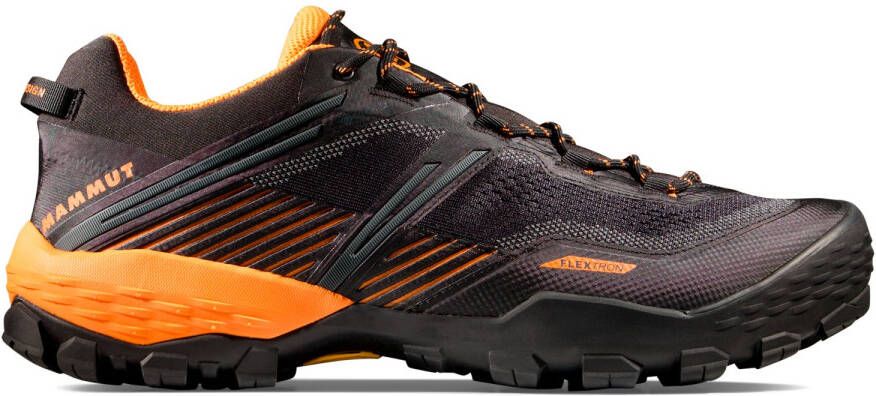 Mammut Ducan II Low GTX Multisportschoenen zwart