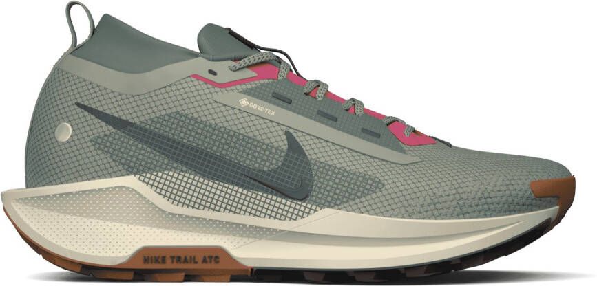 Nike Pegasus Trail 5 GORE-TEX Trailrunningschoenen grijs