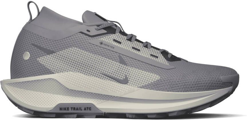 Nike Pegasus Trail 5 GORE-TEX Trailrunningschoenen grijs