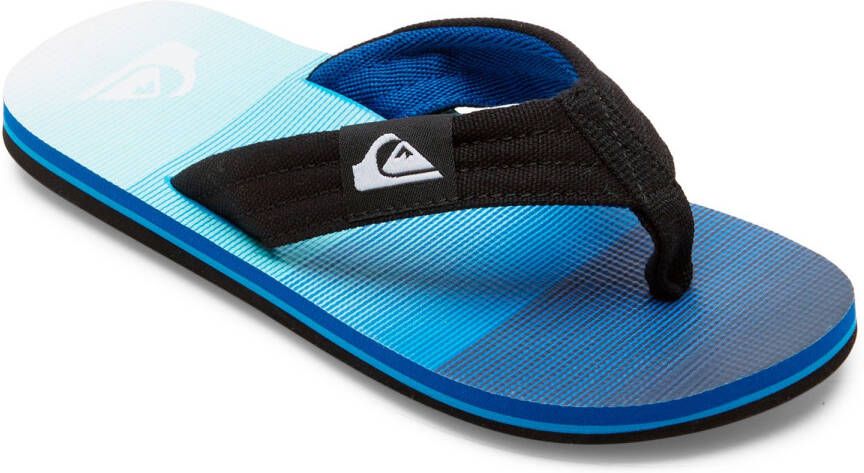 Quiksilver Kid's Molokai Layback II Sandalen blauw