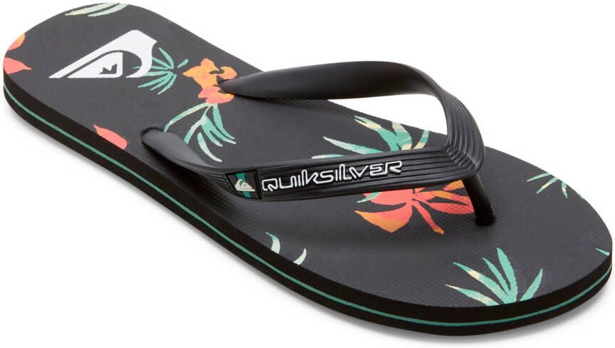 Quiksilver Molokai Art II Sandalen grijs