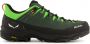 Salewa Wandelschoenen Alp Trainer 2 Men's Shoe 61402-5331 - Thumbnail 1