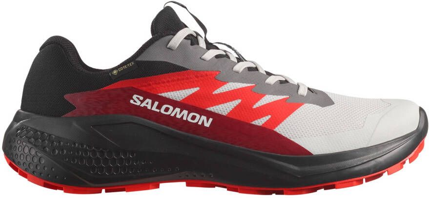 Salomon Alphaglide GORE-TEX Trailrunningschoenen zwart