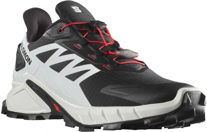 Salomon Supercross 4 Trailrunningschoenen grijs zwart