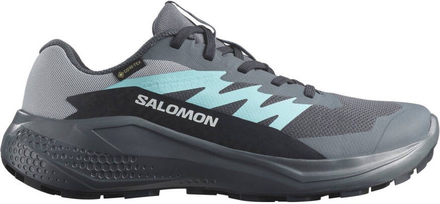 Salomon Women's Alphaglide GORE-TEX Trailrunningschoenen grijs