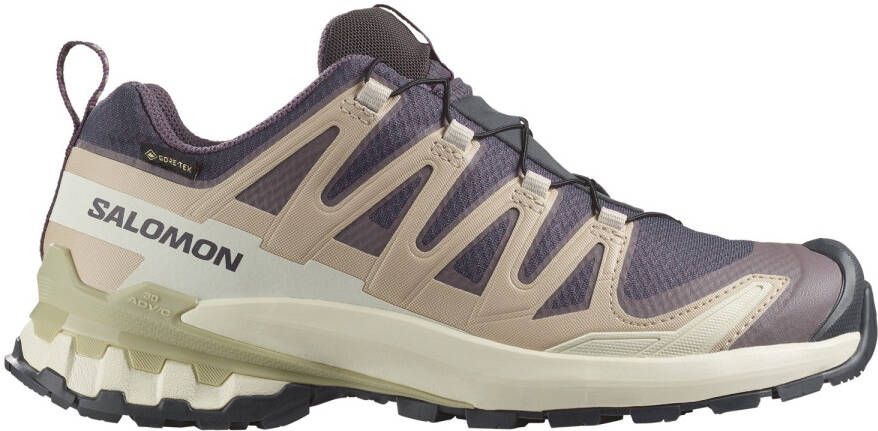 Salomon Women's XA Pro 3D V9 GTX Multisportschoenen beige