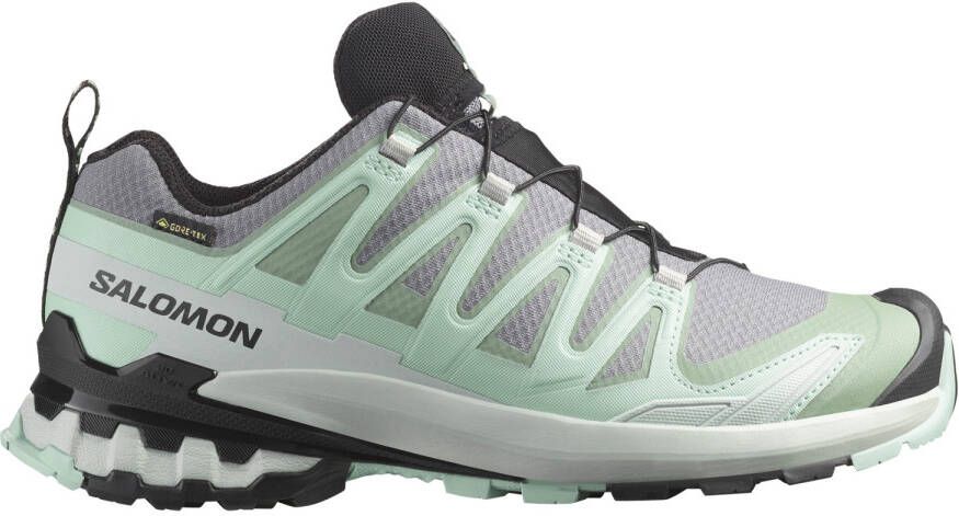 Salomon Women's XA Pro 3D V9 GTX Multisportschoenen grijs