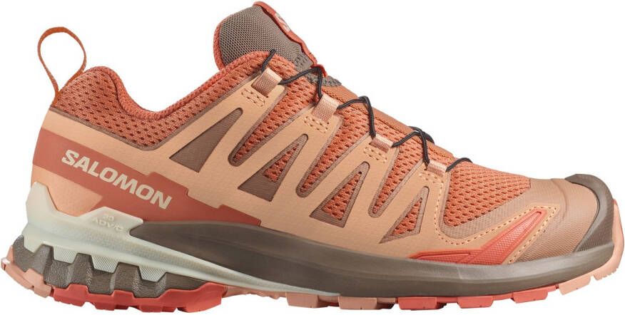 Salomon Women's XA Pro 3D V9 Multisportschoenen bruin