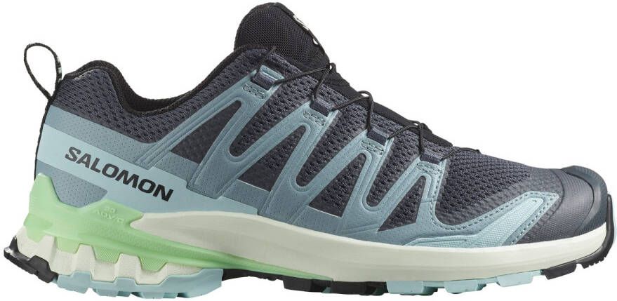 Salomon Women's XA Pro 3D V9 Multisportschoenen grijs