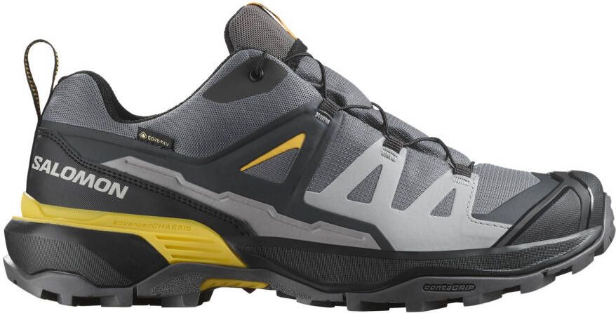 Salomon X Ultra 360 GTX Multisportschoenen grijs