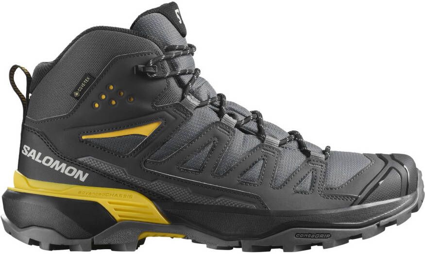 Salomon X Ultra 360 Mid GTX Wandelschoenen grijs