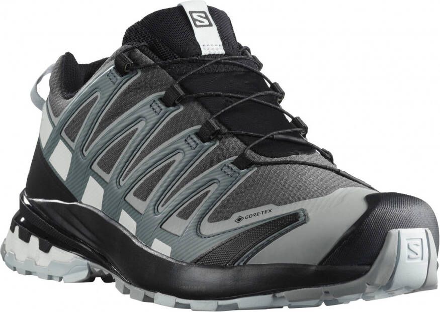 Salomon XA Pro 3D V8 GTX Multisportschoenen grijs zwart