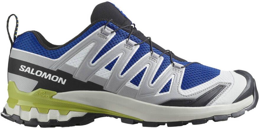 Salomon XA Pro 3D V9 Multisportschoenen grijs