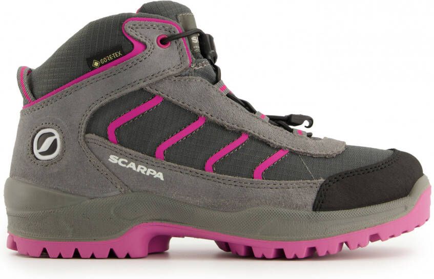 Scarpa Kid's Mistral GTX Wandelschoenen grijs