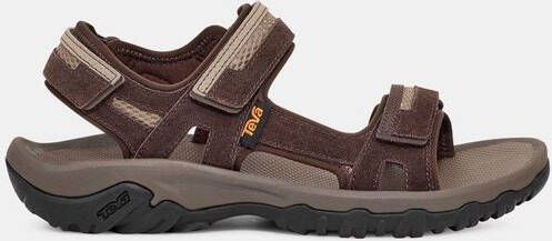 Teva M Hudson Bruin