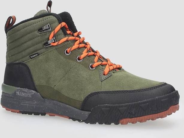 Element Donnelly Elite Winter schoenen groen