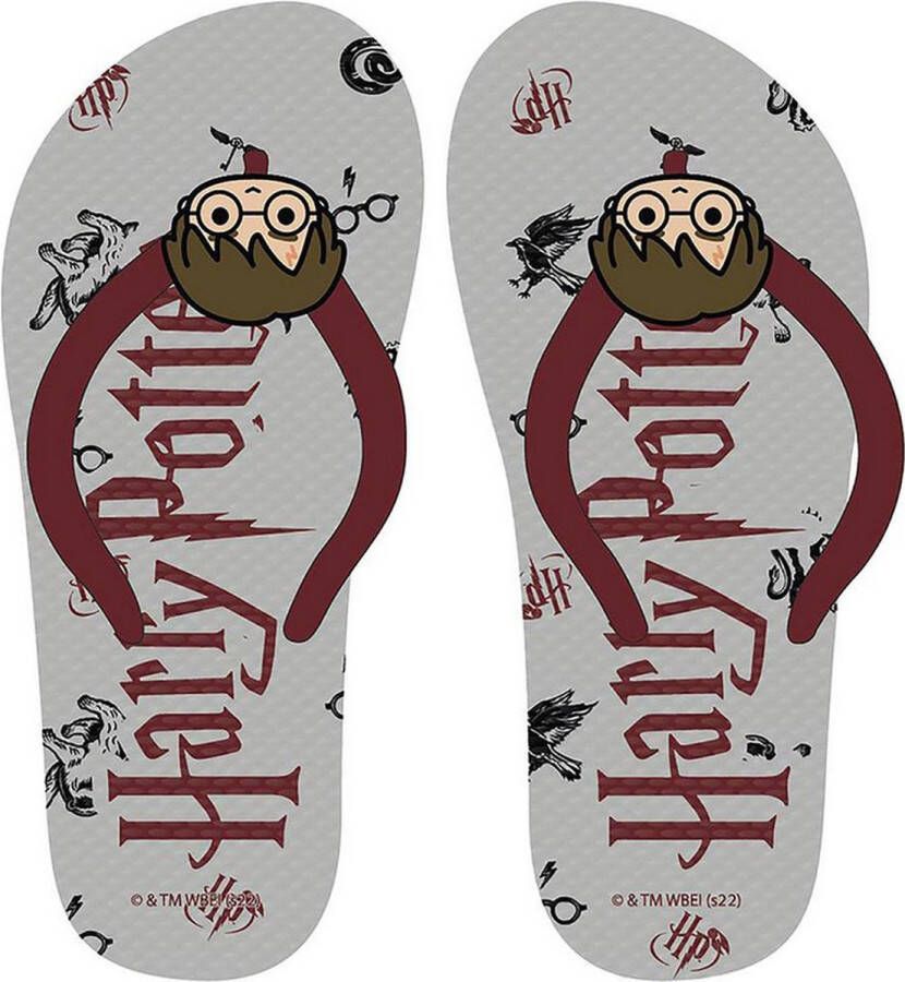 Merkloos Sans marque Harry Potter Teenslippers