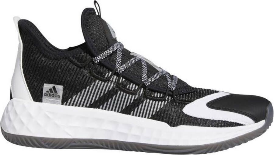 Adidas Perfor ce De schoenen van het basketbal Pro Boost Low