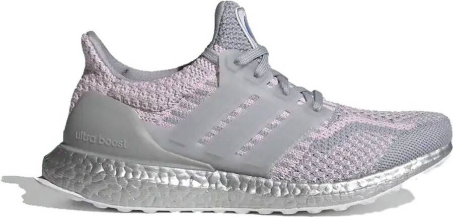 Adidas Performance Ultraboost 5.0 Dna W Hardloopschoenen Vrouwen Grijs