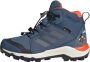 Adidas TERREX Disney Mid GORE-TEX Hiking Schoenen Kinderen Blauw - Thumbnail 1