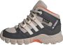 Adidas TERREX Mid GORE-TEX Hiking Schoenen Kinderen Beige - Thumbnail 1