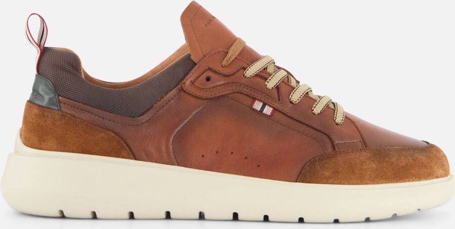 AMBITIOUS Hover Sneakers cognac Leer