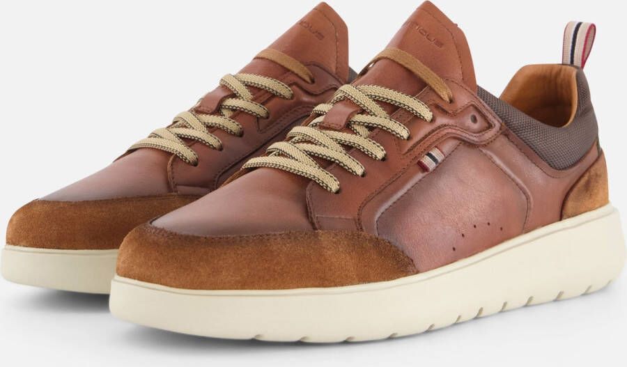 AMBITIOUS Hover Sneakers cognac Leer