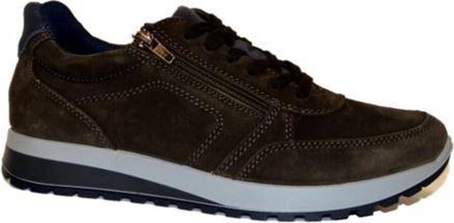 Ara Tijdloze herensneaker Brown Heren