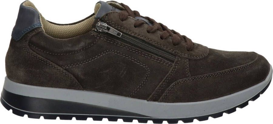 Ara Tijdloze herensneaker Brown Heren