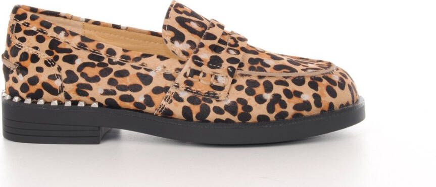 ASH Italia dames moccassins winona daim leopard