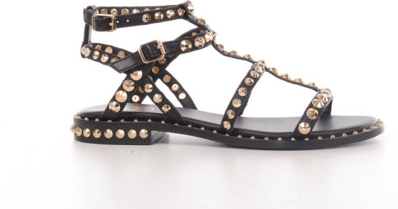 Ash Zwarte Leren Sandalen met Studs Black Dames