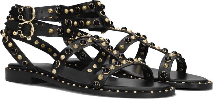 Ash Passion Sandalen Dames Zwart