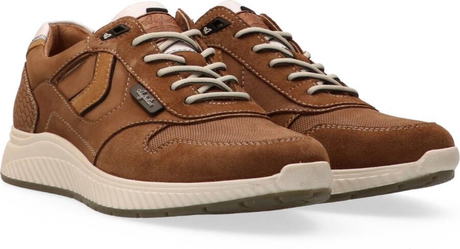 Australian graham sneaker bruin