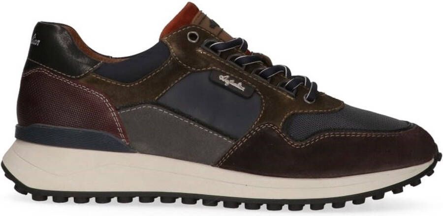 Australian Oxford heren sneaker multikleur