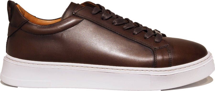 Berkelmans Benalla Sneakers