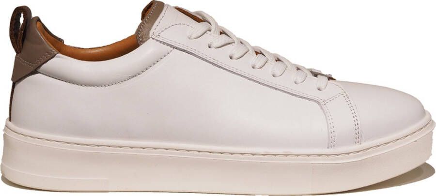 Berkelmans Benalla Sneakers