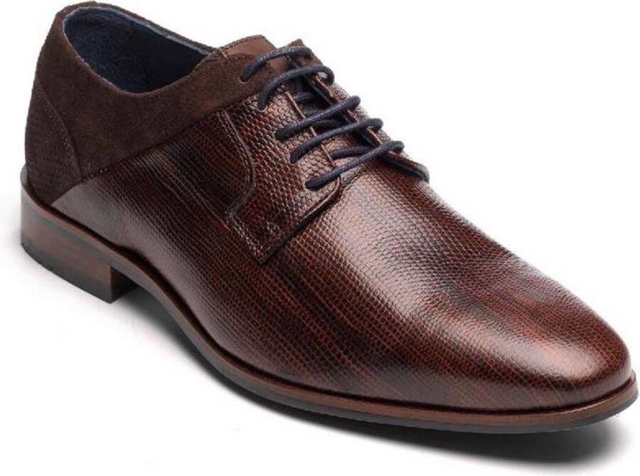 Berkelmans dARK bROWN