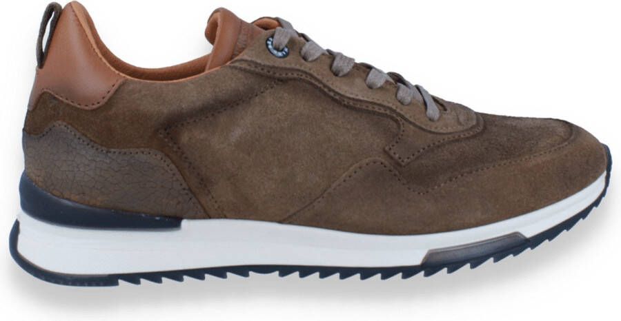 Berkelmans Heren Kyalami Brown Suede BRUIN