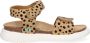 BunniesJR Bregje Beach Meisjes Platte Sandalen Beige Print Imitatieleer Klittenband - Thumbnail 2