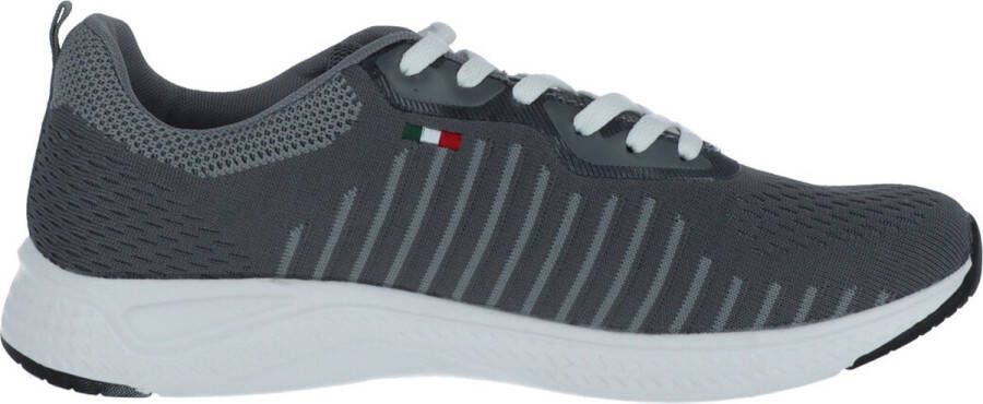 Carrera Gestreepte Grijze Sneakers voor Heren Gray Heren