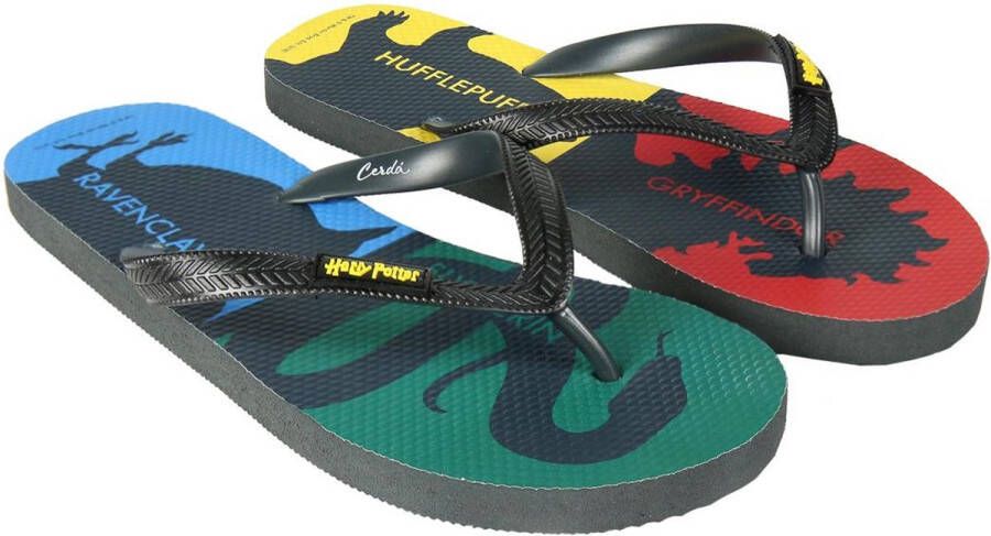 Cerdá Harry Potter Hogwarts Houses Premium Flip-Flops - Foto 1