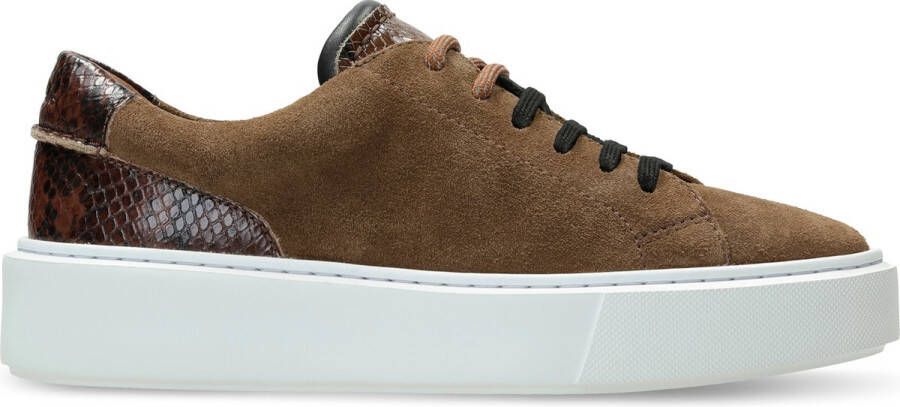 Clarks Damesschoenen Hero Lite Lace D tan combi