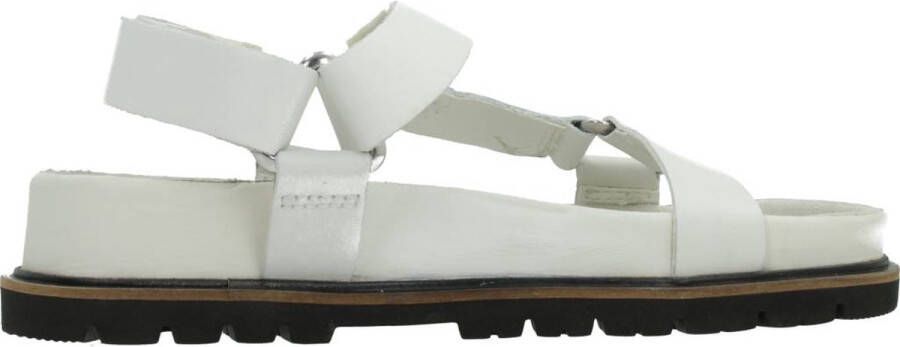 Clarks Stijlvolle platte sandalen voor vrouwen White Dames