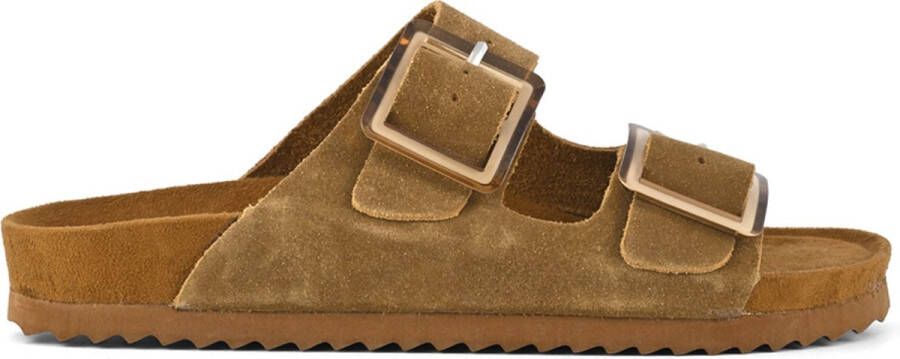 Colors of California Cow Suede Bio With Two Buckles