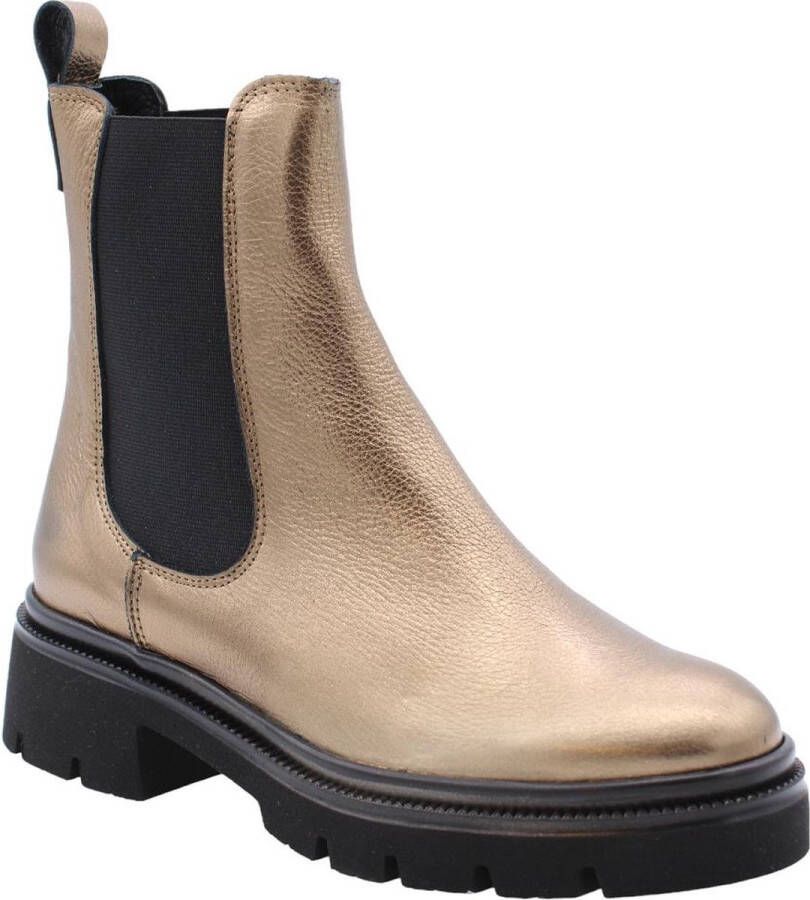 CTWLK Boot Bruin