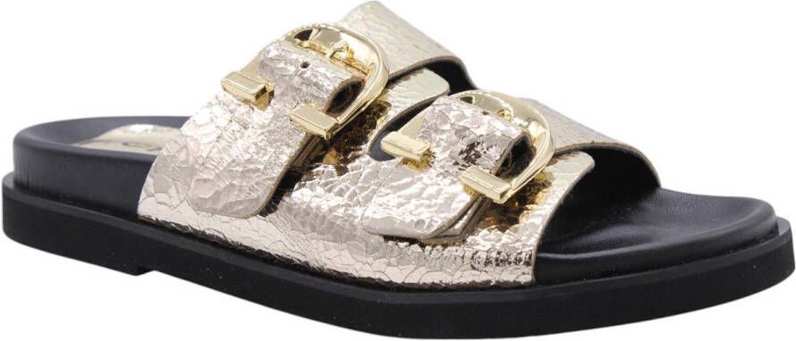 CTWLK Slipper Goud