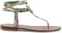 Dee Ocleppo Tropische Print Capri Sandalen Multicolor Dames - Thumbnail 1