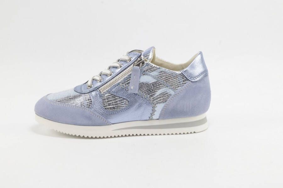 DLSport 6564 versione 09 velour illusion ancona celeste L.BLAUW